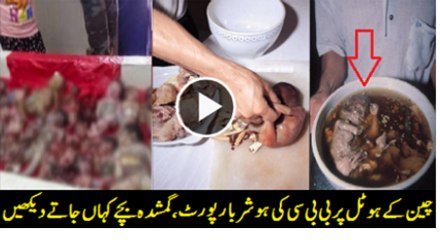 chinese rest. serves human dishes