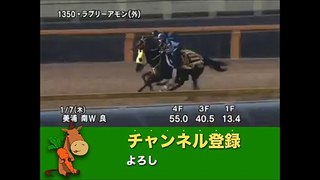 第32回フェアリーステークス(GIII) ラブリーアモン調教動画　「競馬レース結果ハイライト」