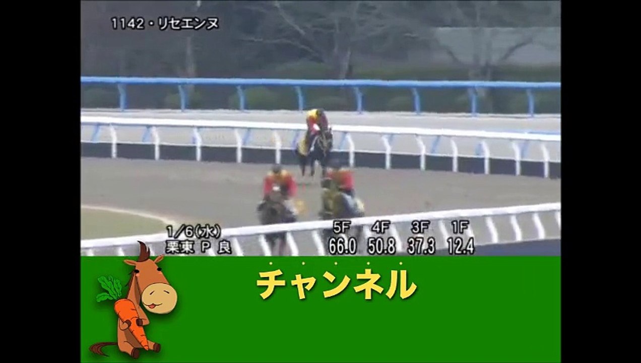 フェアリーステークス(GIII) リセエンヌ、馬なりもシャープに伸びた！ラスト１２秒４ 「競馬レース結果ハイライト」2016年