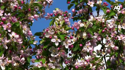 Hayat Kaynağı Oksijen