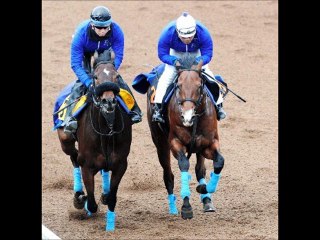 シンザン記念(GIII) アストラ臨戦態勢 「競馬レース結果ハイライト」2016年