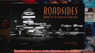Roadsides Images of the American Landscape