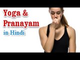 Yoga Aaur Pranayama - Health Wellness ,Yoga Breathing and Diet Tips in Hindi
