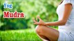 Yog Mudra -  Yoga of Your Hands, Mudra, Yoga Hand Gesture in English