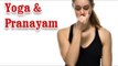 Yoga And Pranayam - Health Wellness ,Yoga Breathing and Diet Tips in English