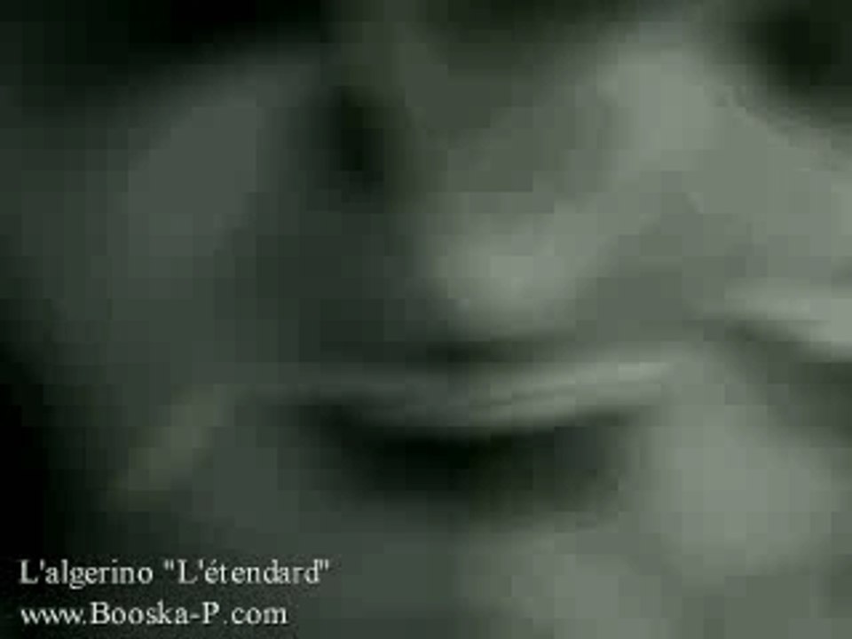 L'Algérino-L'Etendard
