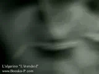 L'Algérino - L'Etendard 🎶 : Découvrez le nouveau hit incontournable