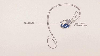 LA COLLECTION DESSINE TOUJOURS! : ET TA PROSTATE, CA VA ?