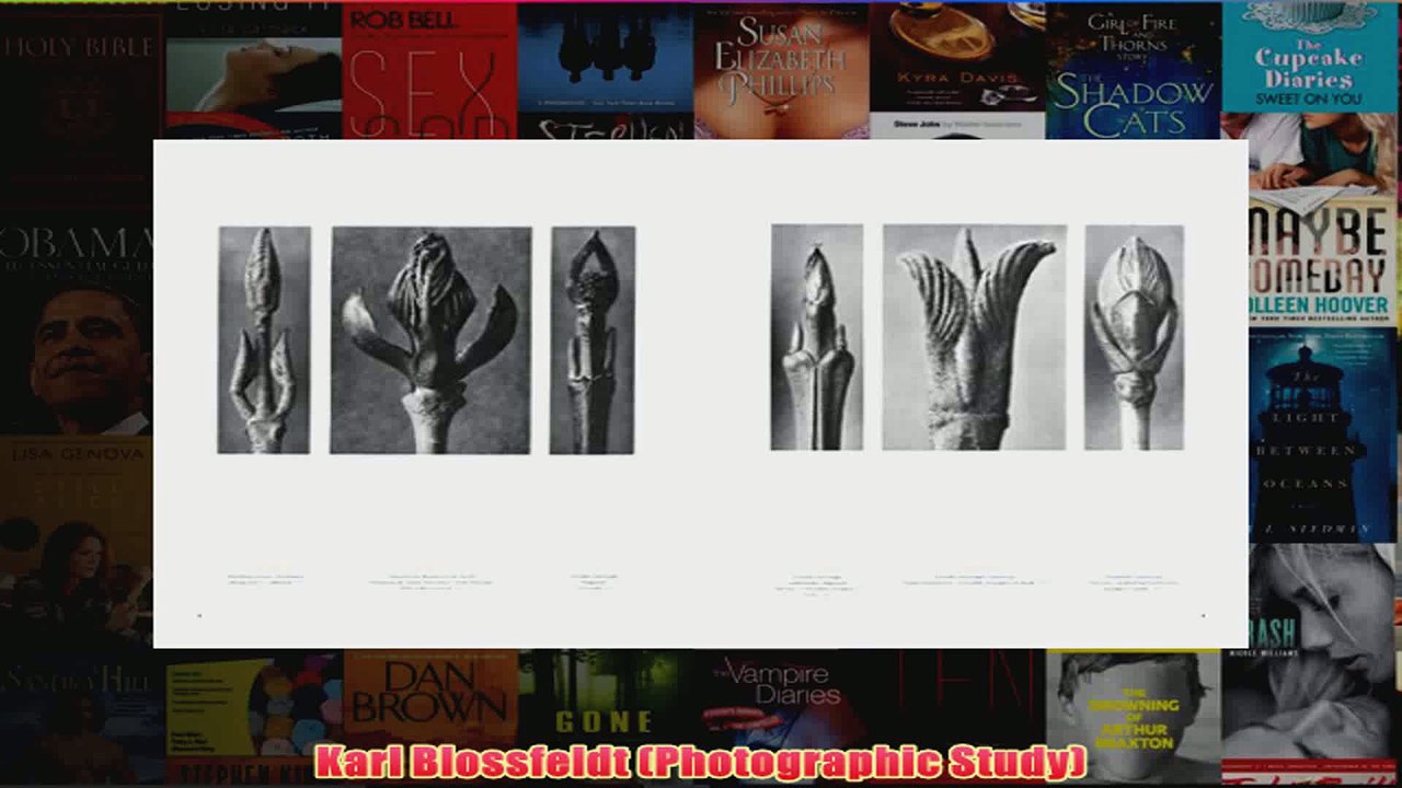 Karl Blossfeldt Photographic Study