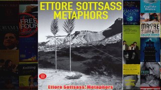 Ettore Sottsass Metaphors