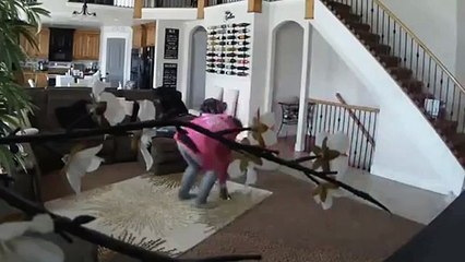 Un chiot pas comme les autres ^^