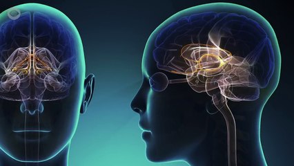 Could The Walking Dead Really Happen?