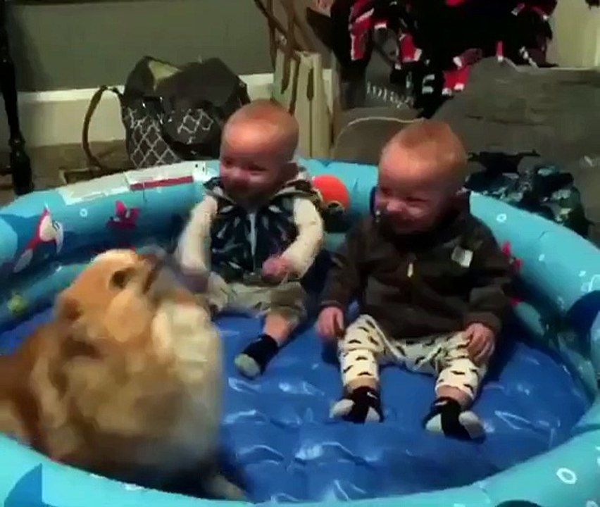 Funny A baby's life is the life for me