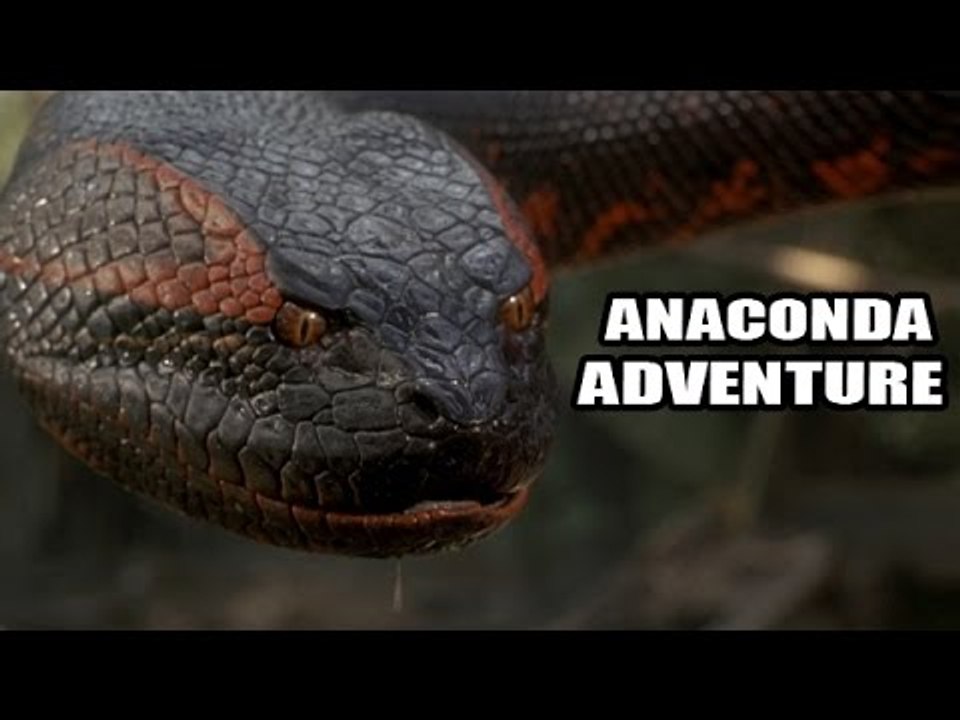 Anaconda 1 tamil movie full movie hotsell