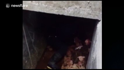 Police officer saves abandoned newborn baby from cesspit