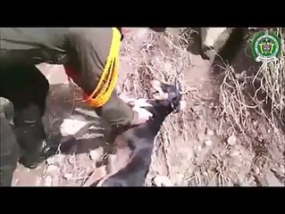 This clip will restore your faith in huminity
