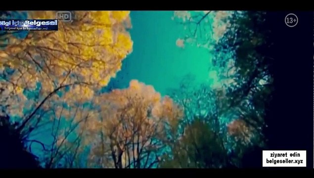 Avrupa’nin Kanli Öyküleri _ Büyü (Tarihi Belgesel Türkçe Dublaj)