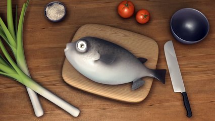 Funny Animals Videos-The life of a fish