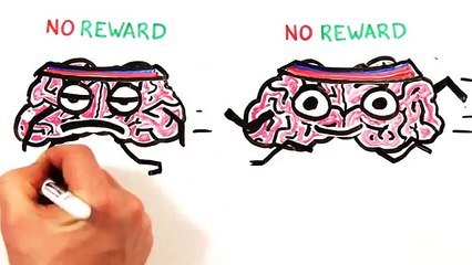 The Science Of Motivation (En Güncel Teknoloji Videoları)