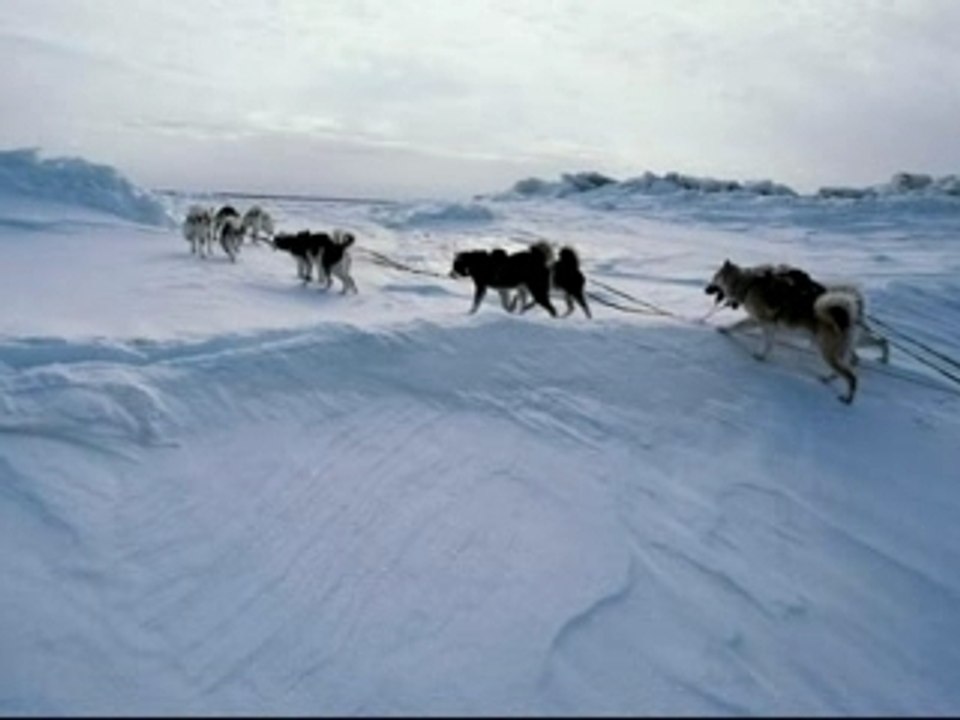 Antarctique