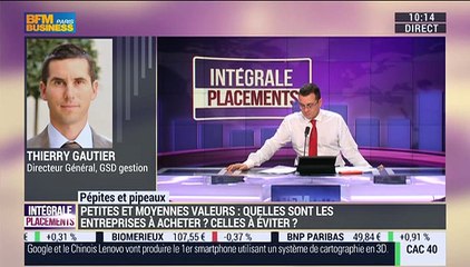 Pépites & Pipeaux: "Gemalto reste une valeur de croissance", Thierry Gautier - 08/01