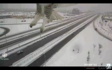 Les caméras de circulation captent un magnifique harfang des neiges à Montréal