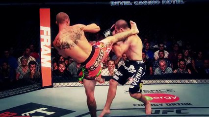 Бойцы UFC о планах на 2016 год (перевод MMA Nation)