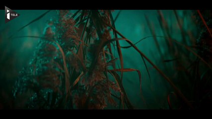 David Bowie, un nouvel album pour son 69e anniversaire