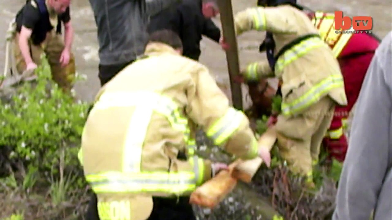 Cette femme se promène sur le bord de la rivière, puis elle panique en voyant ça dans l'eau!