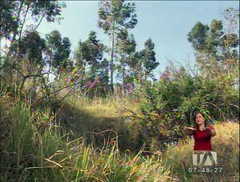 Moradores de la Biloxi se quejan de dos problemas en el sector