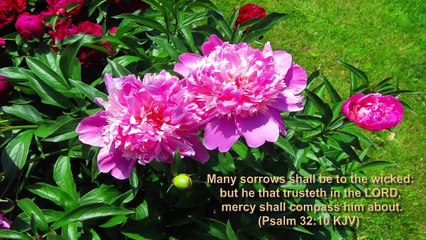 Christian song HIRNI JAISI PANI KI PYASI