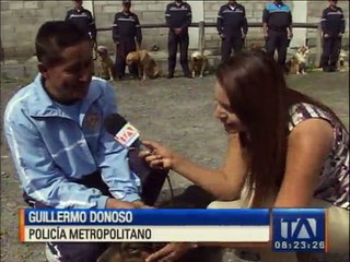 Un perro callejero ahora es parte de la Policía Metropolitana