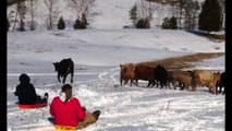 Winter Wonderland Sledding Fails