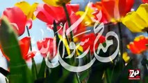 New Naat Har Taraf Noor Ke Ujale He by Syed Ali Deep Rizvi Naat -2016 l  1437 Hijri