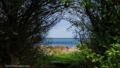 Wild Bird Feeders For Your Yard