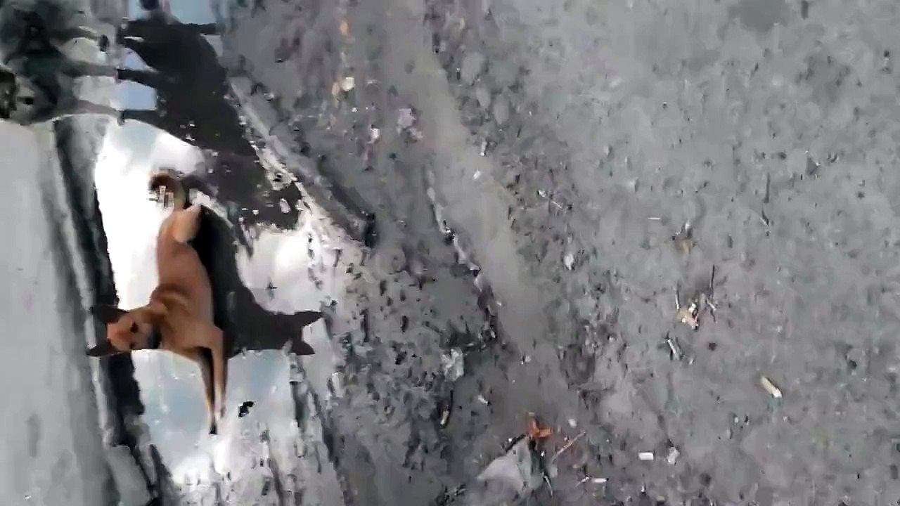 Вот это событие!