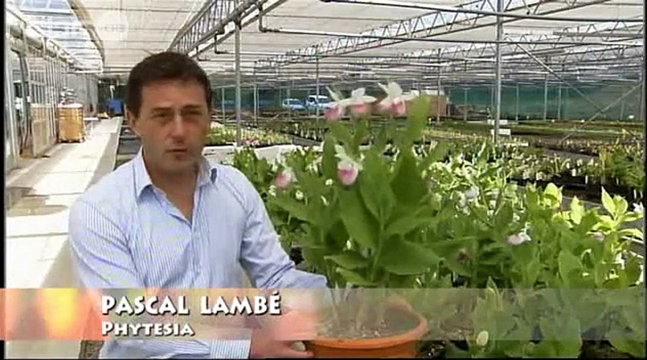 Phytesia_-_producteur_dorchidées de Jardin