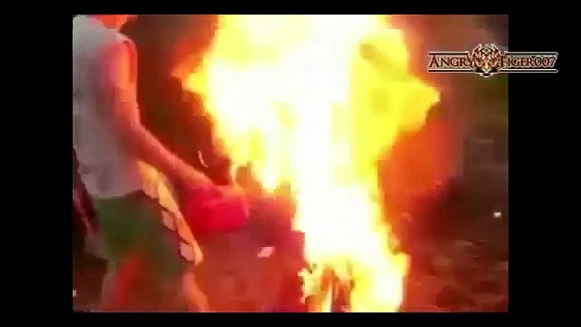 Funniest videos ever in the world most funny videos ever seen MUST SEE