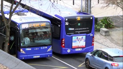 Mercedes Citaro C2 N°978 Fil Bleu