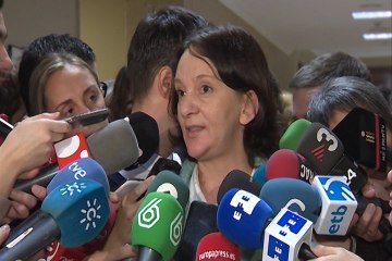 Bescansa acusa al PSOE de buscar "coalición" con PP