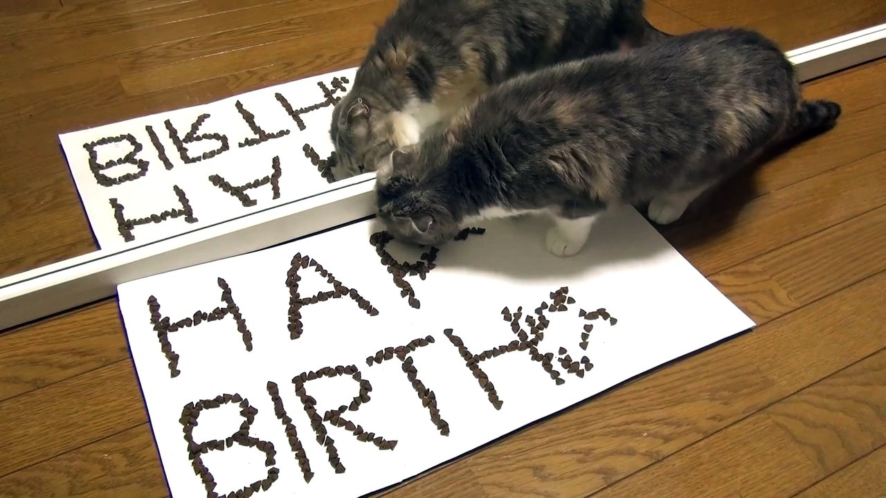Happy Birthday μ.♪