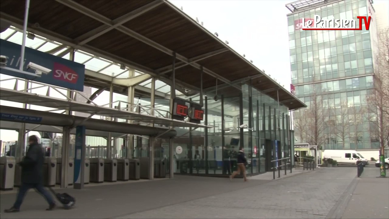 Perturbations pour les usagers des lignes B et D du RER