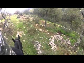 Plants Vs Zombies 2: New World Dark Ages Night 22 Horse Rider