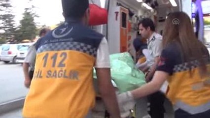 Domuz Gribi Şüphesi