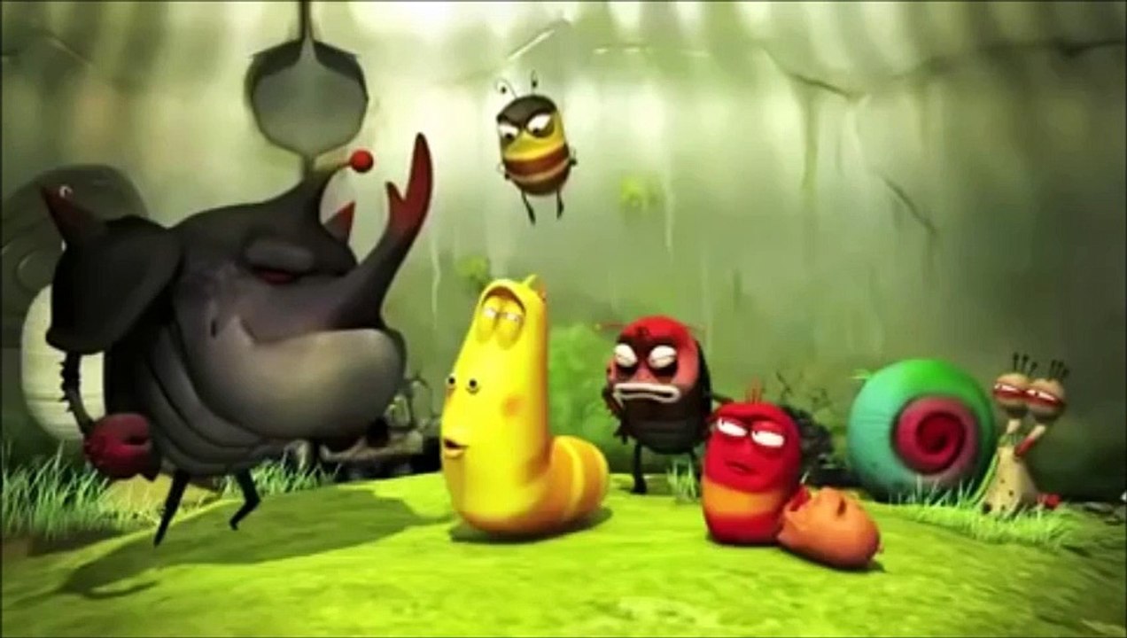 Wahtsapp Video zum Lachen