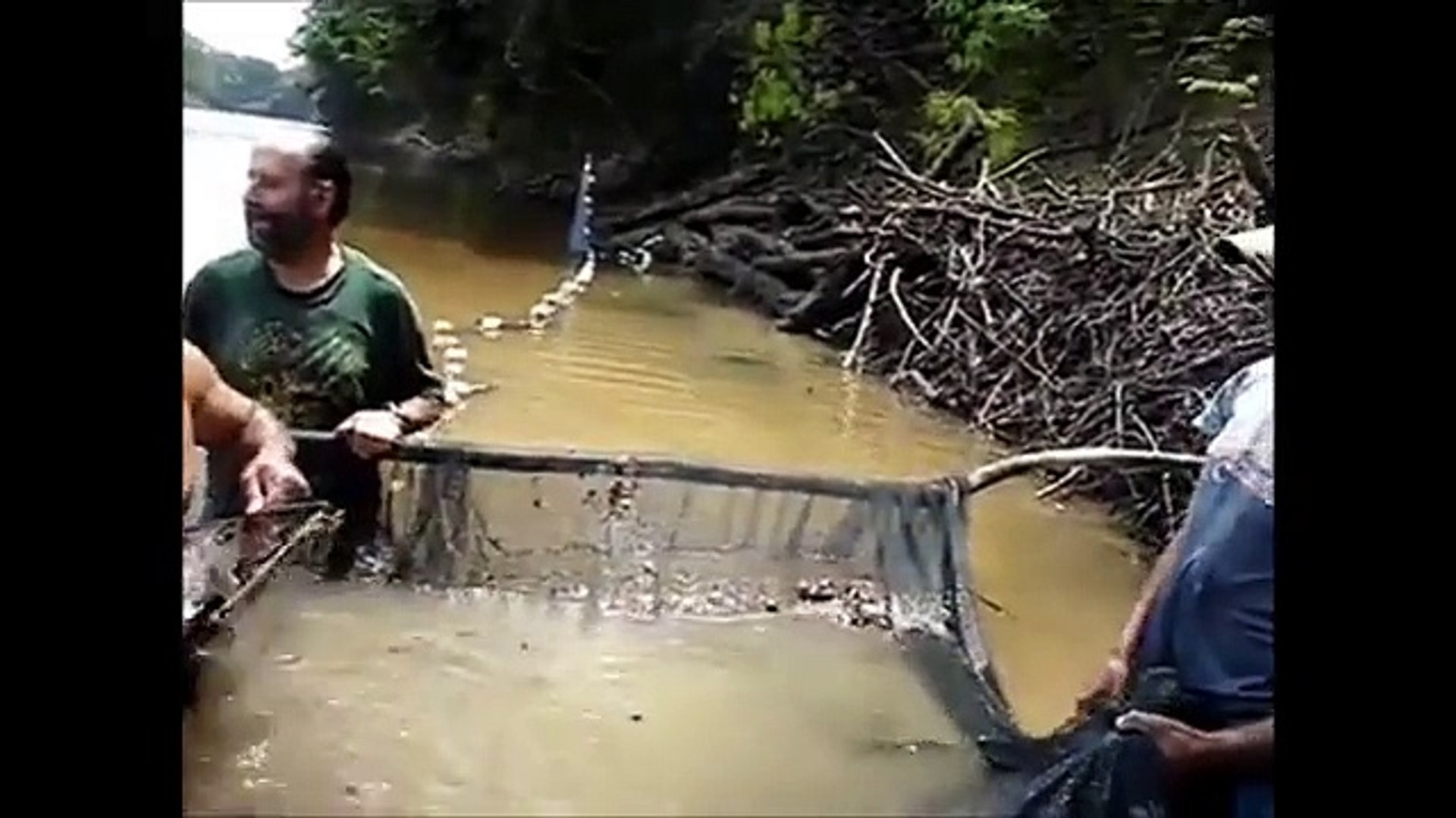 ⁣Amazon Nehrinde Yabani Discus Avı