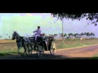 Telugu Movie Devadas - Krishna, Vijayanirmala - Full Length Movie