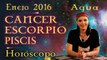 Horóscopo CANCER, ESCORPIO Y PISCIS Enero 2016 Signos de Agua por Jimena La Torre