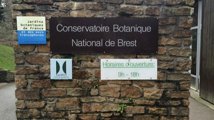 Les effets de la douceur climatique sur la flore