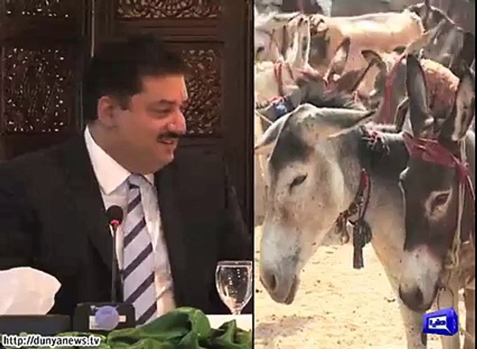 تین سال میں پاکستان سے گدھوں کی دو لاکھ کھالیں بر آمد کی گئیں۔ اس بات کا انکشاف قومی اسمبلی میں کیا گیا۔ ن لیگ کی طاہرہ اورنگزیب نے سوال اٹھایا، کھالیں تو برآمد ہوئیں، بتائیں گوشت کدھر گیا